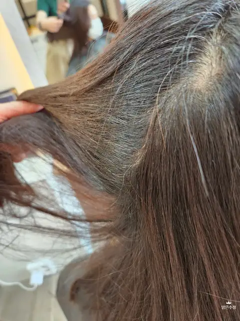 헤어바이단비 사진 4