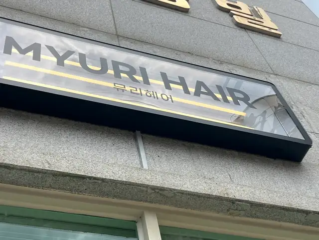 뮤리헤어 사진 5