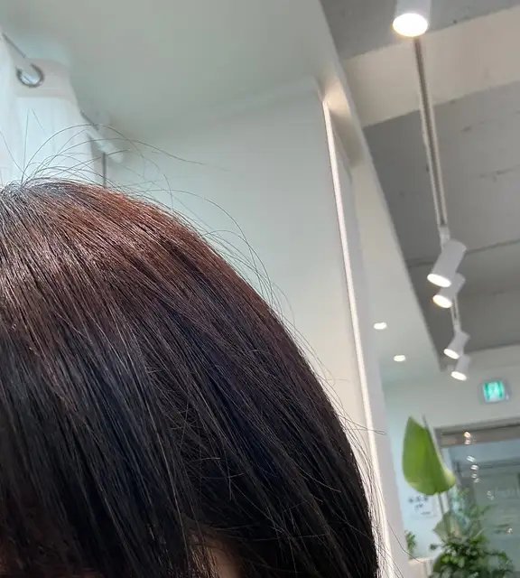 파인유 사진 3