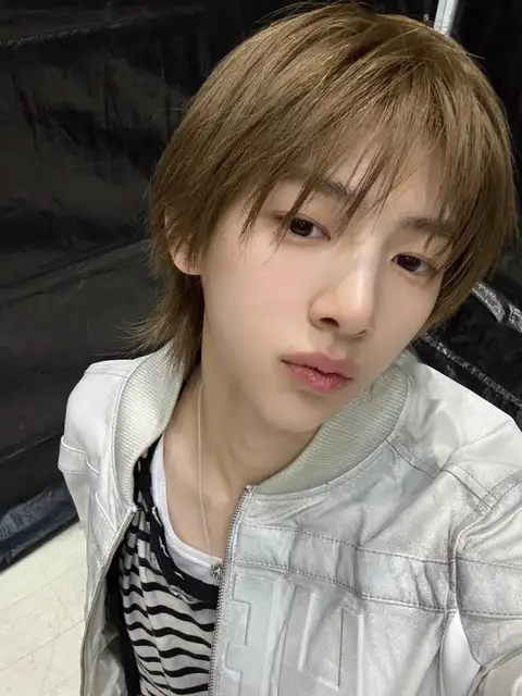 누스헤어 사진 2
