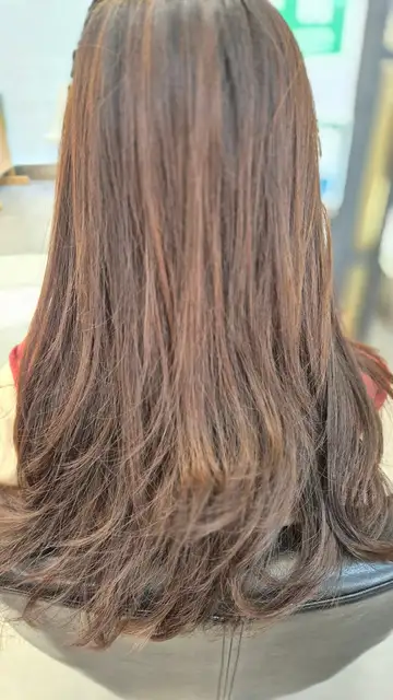 레베헤어 사진 6