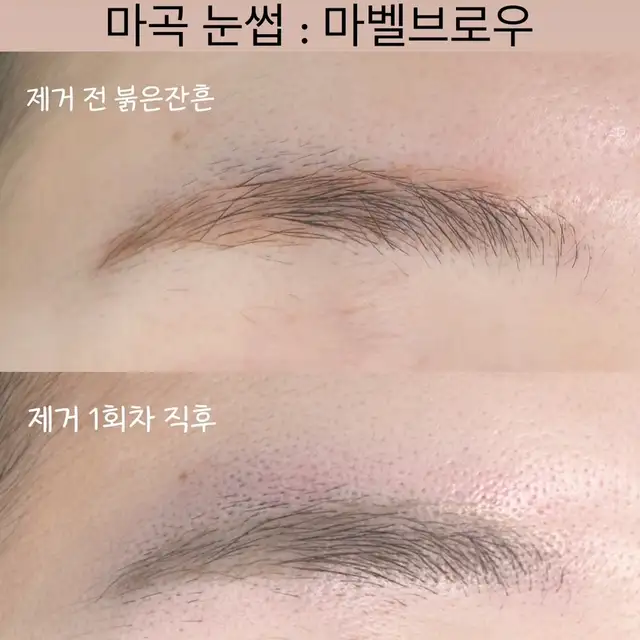 마벨브로우 사진 7