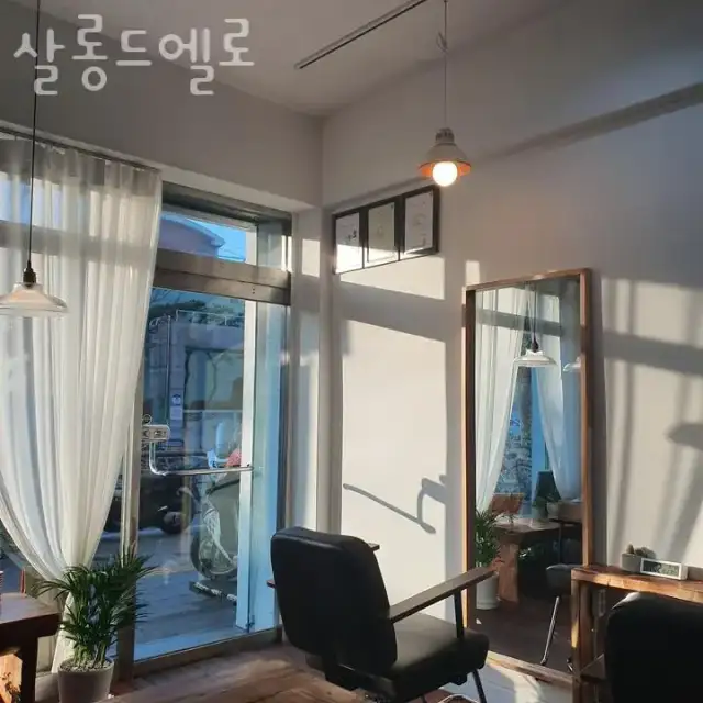 살롱드엘로 사진 1