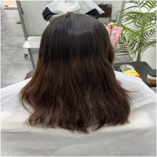 시하 사진 4