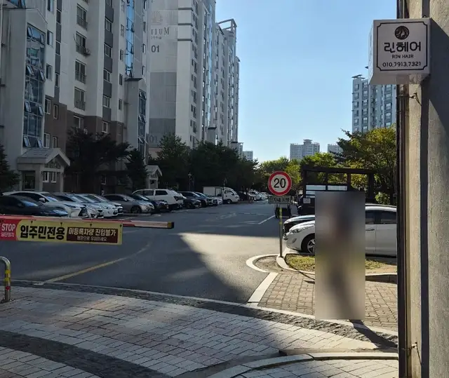린헤어 사진 8