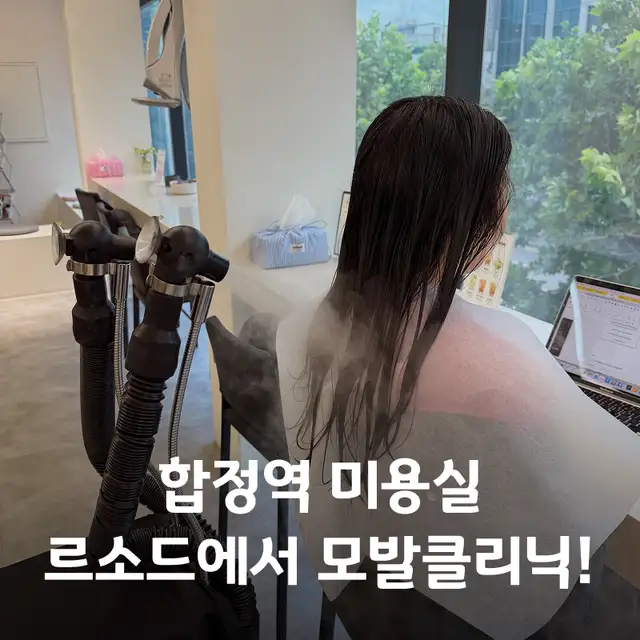 르소드 사진 3