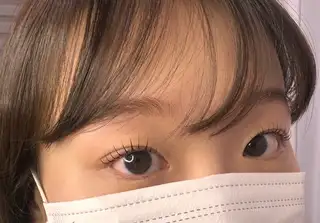 브로우아리아 사진