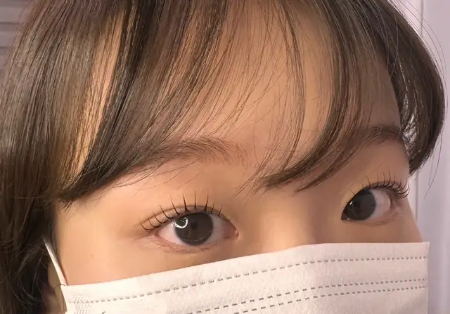 브로우아리아 사진 1