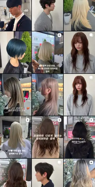 봄애 사진 2
