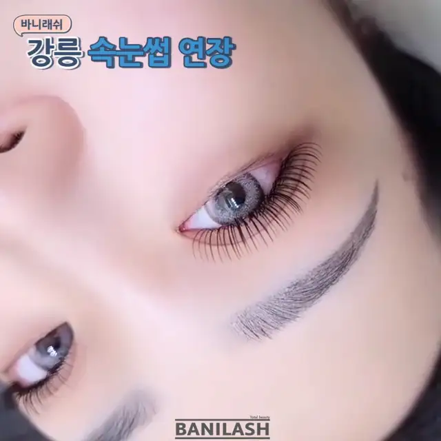 바니래쉬 사진 3