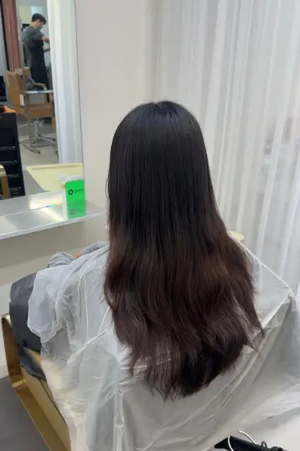 논노브 사진 5