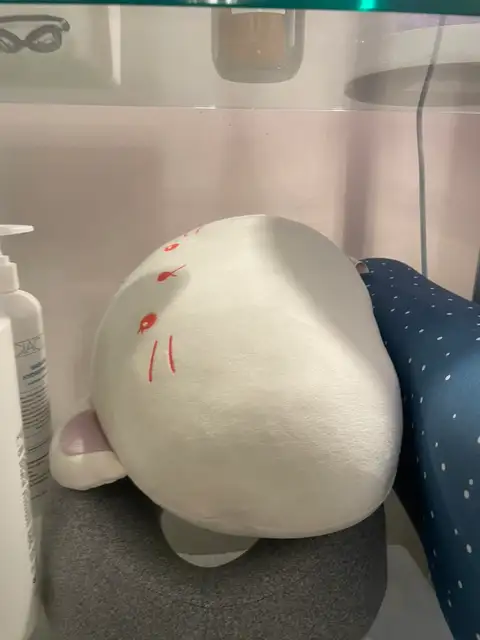 디유랩 사진 4