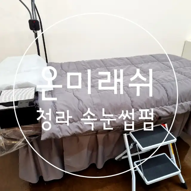 온미래쉬 사진 3