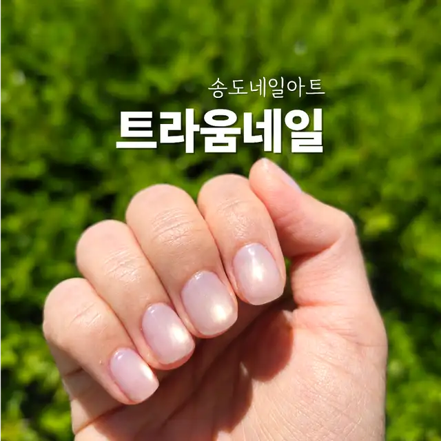 트라움네일 사진 5