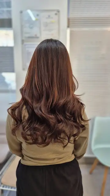 레베헤어 사진 5