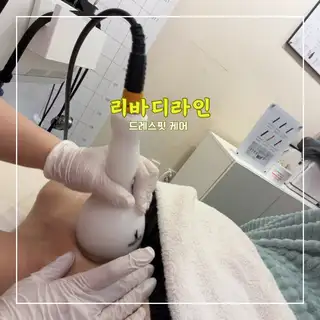 리바디라인 사진