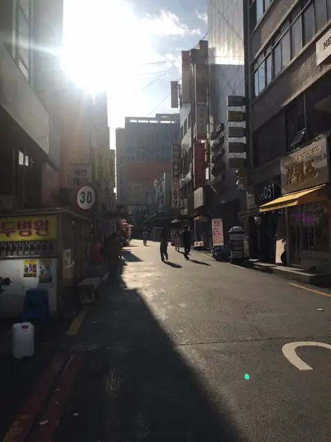 속눈썹공쥬 사진 2
