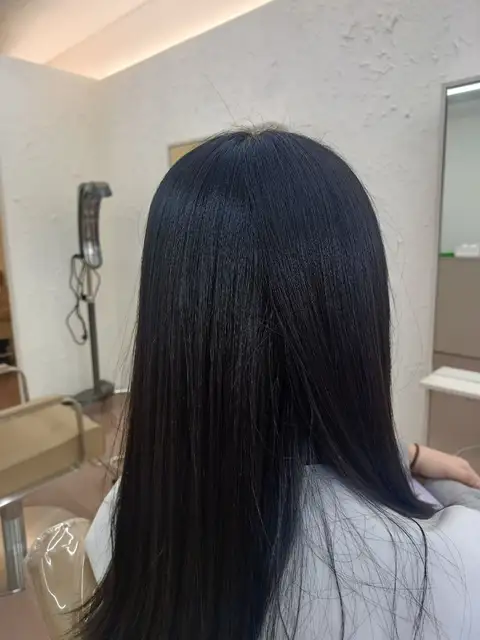 살롱드송 사진 4