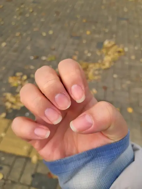 프롬쥬 사진 2
