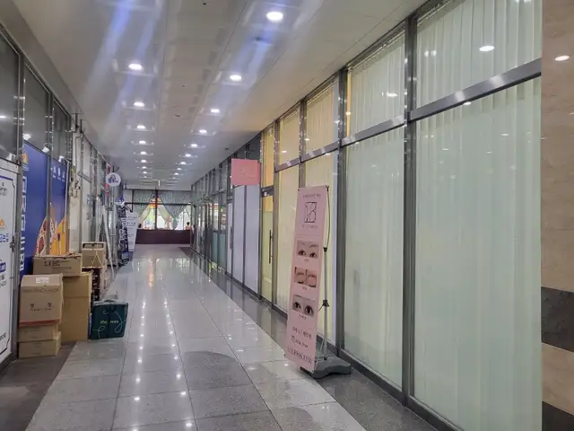 벨라브로우 사진 5