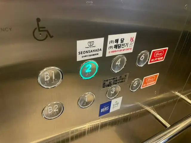 선사하다 사진 6