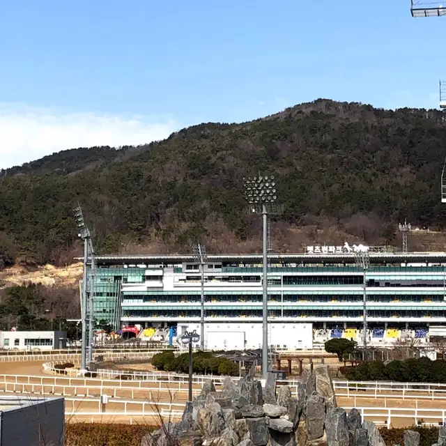 젤리민네일 사진 4
