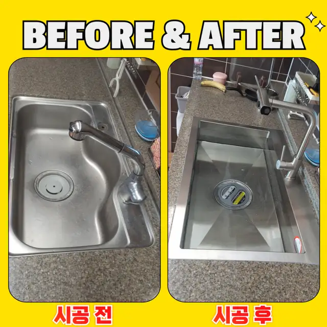 백조 사진 5