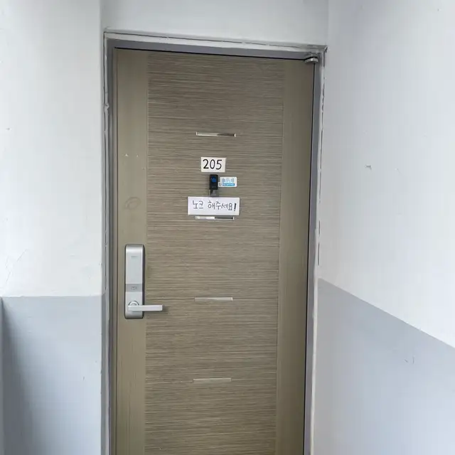 모다브로우 사진 8