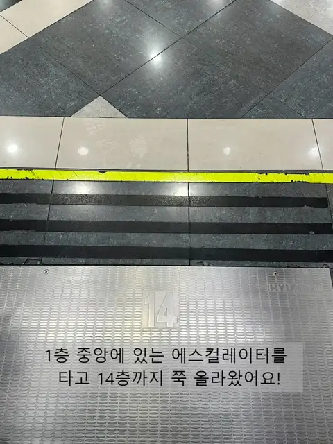 브로우아리아 사진 8