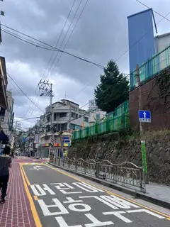 하퓰러 사진