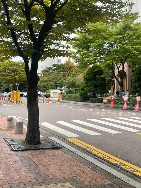 네일갤러리 사진 5