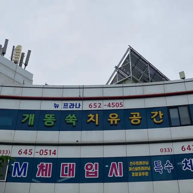 뉴프라나 사진 6