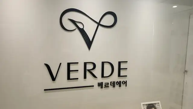 베르데헤어 사진 3