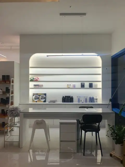 에스텔라 사진 4