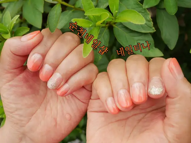 네일티나 사진 1