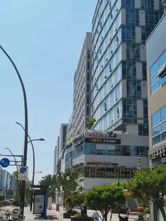 라보떼 사진