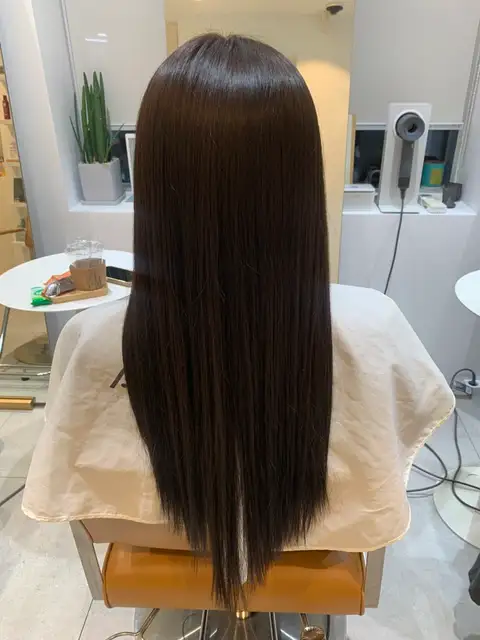 봄디아 사진 4