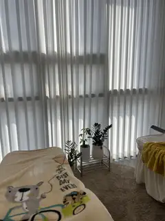 브로우쑨 사진