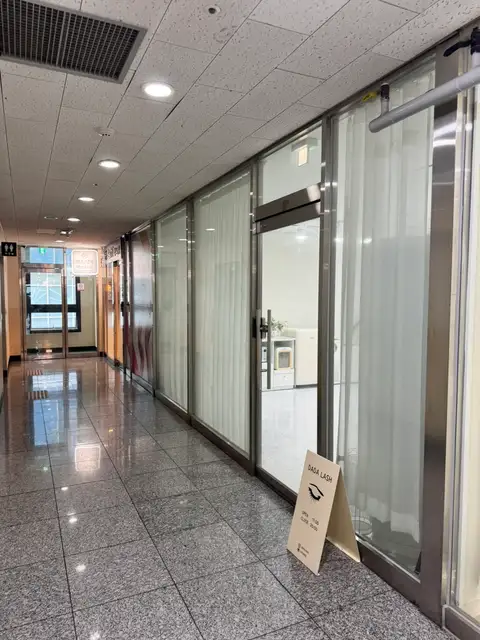 다다래쉬 사진 2
