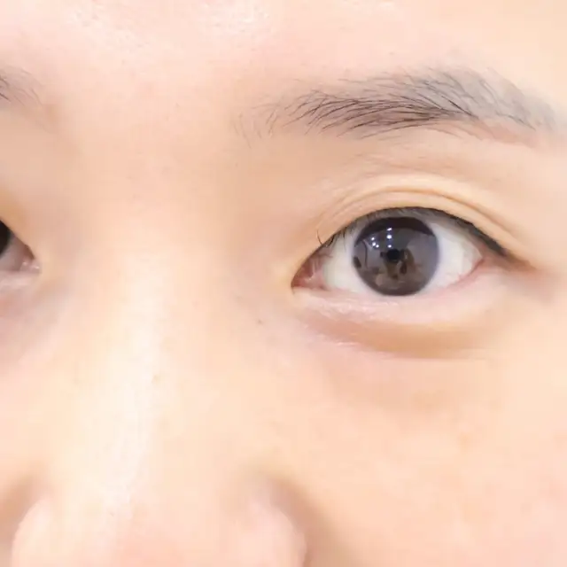 브로우진 사진 7