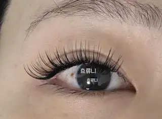 루니크래쉬 사진