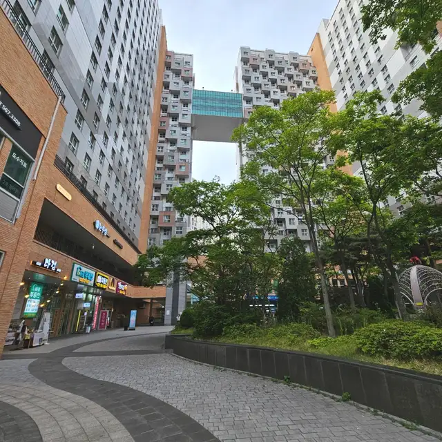 매끄러 사진 5