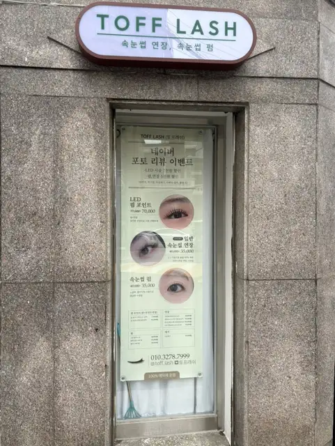 토프래쉬 사진 4