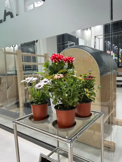 라라필라테스 사진 5