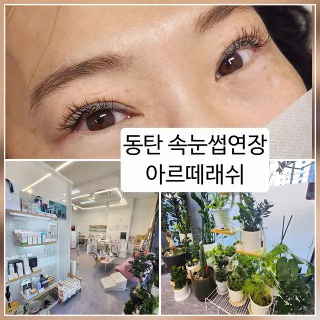 아르떼래쉬 사진 3