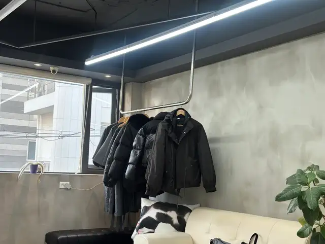 투스 사진 2