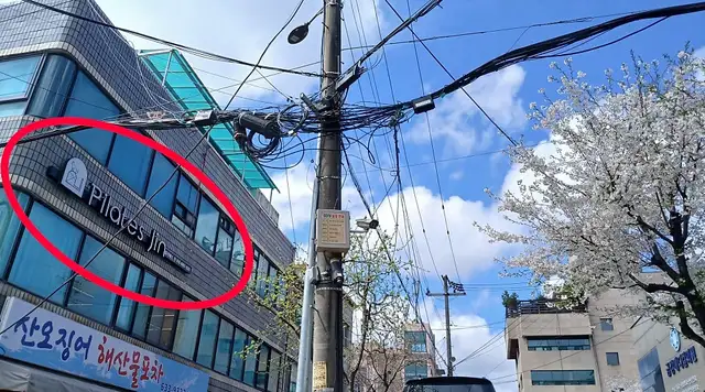 필라테스진 사진 3