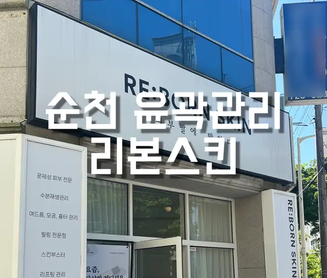 리본스킨 사진 3