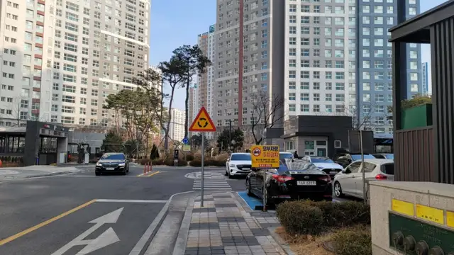 리프헤어 사진 7