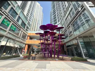 몽드메리 사진
